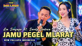 JAMU PEGEL MLARAT - LIA SANJAYA FT. SANDY SADEWA - NEW PALLAPA