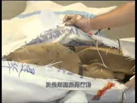 2013年5月13日 澳門查獲走私沈香