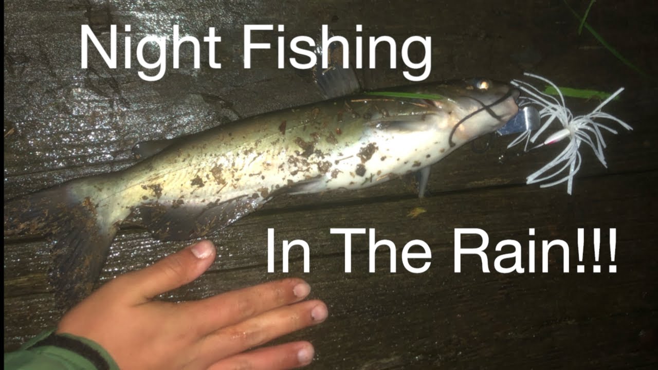 Catfishing In The Rain!!! YouTube