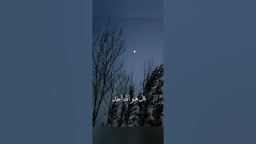 سورة الاخلاص || القارئ هزاع بلوشي