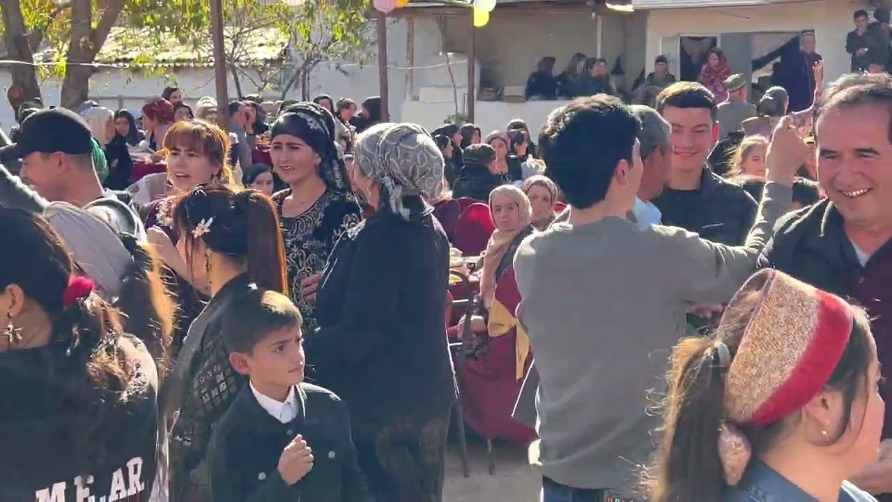 Сумбула Хасанова зебидай кулоби туёна