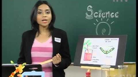 iTTV PMR/PT3 Form 3 Science #3 Transport System in Plants (Part 1) - Exam/Tips