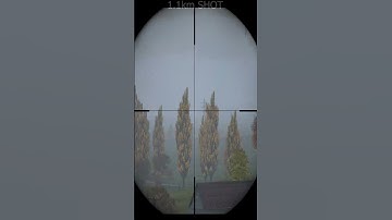 #Dayz #Shorts - 1km Sniper Shot