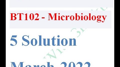 GDB BT102 SOLUTION 2022