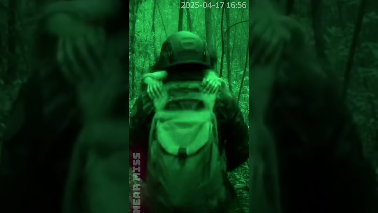 🛰🪖The soldiers encountered a goblin in the forest | Wild nature 🍄‍🟫 