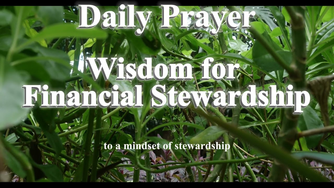 Wisdom for Financial Stewardship 