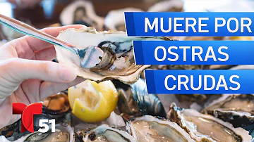 ¿Qué meses son los mejores para comer ostras?