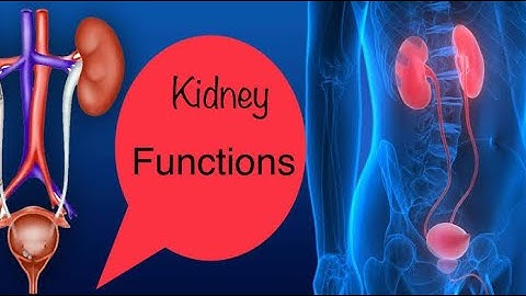 Kidney Functions ||guyton physiology in 10 minutes video lecture|| Chapter 26