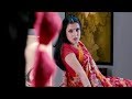 A Foolish Husband Whatsapp Status Video Download Free