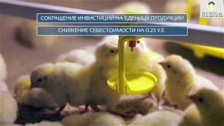Robot в птицеводстве Беларуси! Выращивание бройлеров в клеточном оборудовании компании ТЕХНА