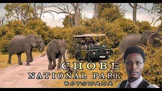 Wildlife of Chobe National Park | Zimbabwe | Botswana