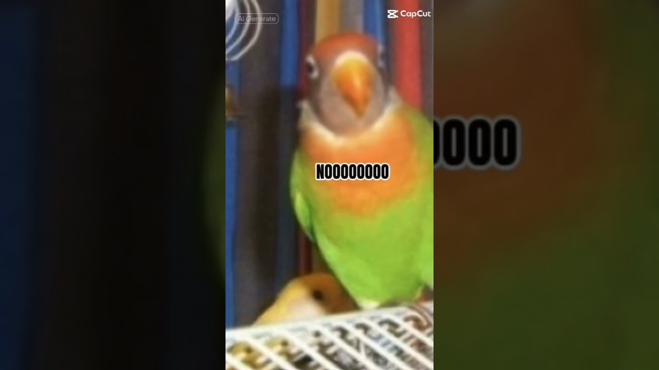 Bebee Ain T Grumpy 