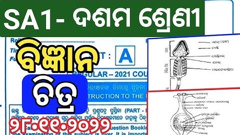 SA1 Class 10 Science Question Paper 2022|10th SA1 Science Diagram|10th Class SA1 Science Question