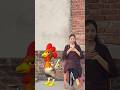 mere pass murgi hai 🐓🪿🐅🦌😂#funny #shortsfeed #viralshort #trending #shorts #cutebaby