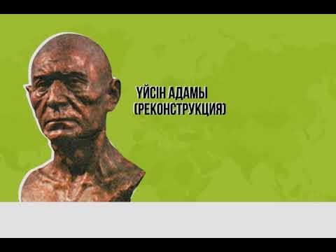 Қыздар мен гинекологтардың порнофотосуреттері