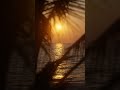 Take 10 seconds to relax 🌅 #relaxation #sleep #ambience