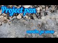 Project pan. Отчёт за июль.