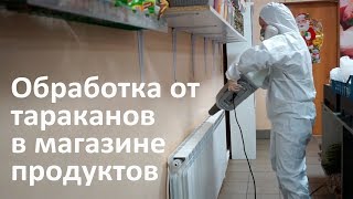 Обработка от тараканов в магазине продуктов