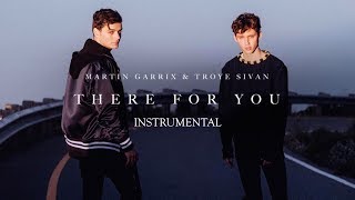 Martin Garrix & Troye Sivan - There For You (Instrumental)