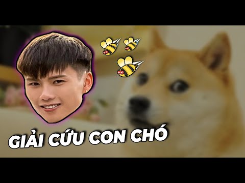 #1 Review game siêu tốc#1: Save the Doge Mới Nhất