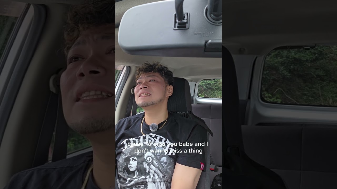 Dont wanna miss a thing (cover)