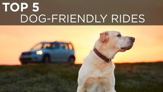 These are the top 5 dogfriendly rides | Buying Advice | Driving.ca