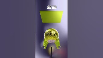 Cloth Simulation 3D📈🟡Weight #3dart #3danimation #clothsimulation #simulation  #asmr #shorts #funny