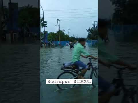 Rudrapur Sidcul ka haal || Barish ka keher #uttarakhand #rudrapur - YouTube