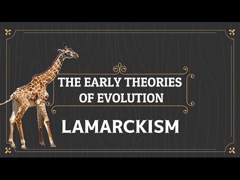 LAMARCK&rsquo;S THEORY OF EVOLUTION