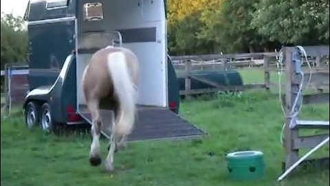 Non-loading horses becomes self-loading horses