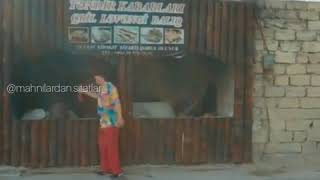 Felaketsende Arvadim Ol