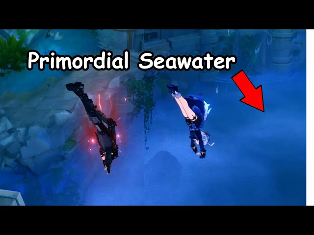 What happens if Fontainians dive into Primordial Seawater.. class=