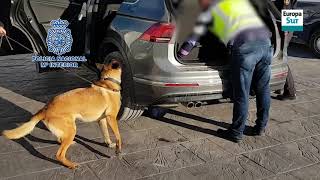 Operación Costa en La Línea
