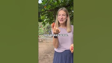 The Fascinating Process of Almond Harvesting!