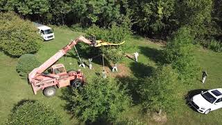 Dutchman Manual Tree Tyer by DutchmanIndustries 788 views 3 years ago 2 minutes, 33 seconds