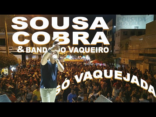 Sou Vaqueiro, Sou Peão e Quero Ela - Single by Sousa Cobra Oficial