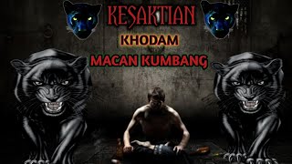 Khodam Leluhur SAKTI MANDRAGUNA,KHODAM MACAN KUMBANG