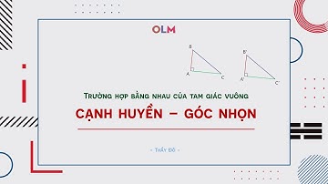 Trường hợp bằng nhau của tam giác vuông: cạnh huyền - góc nhọn | Toán 7 | OLM.VN
