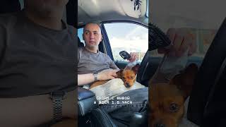 по делам жены