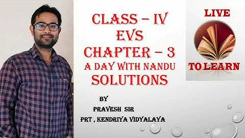 A DAY WITH NANDU | Question Answers | CHAPTER 3 | EVS | Class 4 | #DOEWORKSHEET #EVSWORKSHEET #CTET
