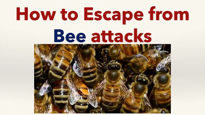 How to Escape from Bee Attacks