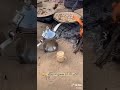 سوري بالدمام ابحث عن زوجه سعوديه مطلقة ارملة ذات خلف ودين زواج شرعي او مسيار للتواصل ٠٥٥٣٩٥٤٩٩٢ سوري بالدمام ابحث عن زوجه سعوديه مطلقة ارملة ذات خلف ودين زواج شرعي او مسيار للتواصل ٠٥٥٣٩٥٤٩٩٢