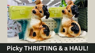 Picky Thrifting & a Haul!