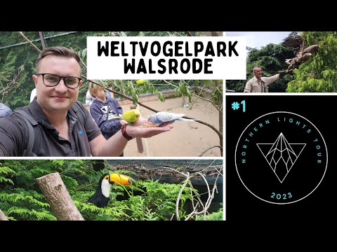 Flugshow und Pinguine streicheln im Weltvogelpark Walsrode | Vlog 2023 | Tour-Start Tag 1