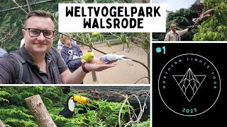 Flugshow und Pinguine streicheln im Weltvogelpark Walsrode | Vlog 2023 | Tour-Start Tag 1