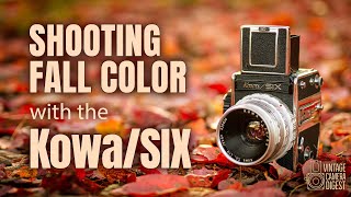 Shooting Fall Color with the Kowa Six