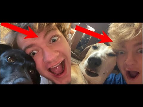 TommyInnit with his dogs Betty and Walter Clips