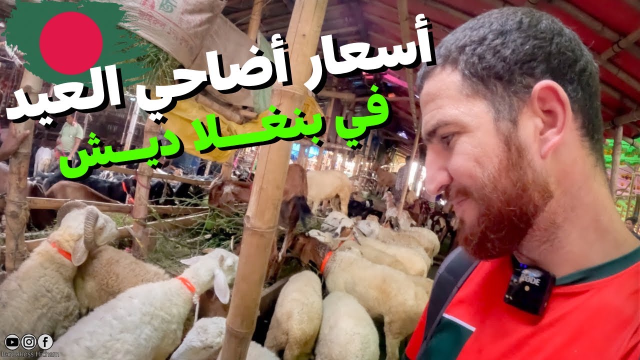 أسعار الأضاحي في أكبر سوق للمواشي في بنغلاديش🇧🇩أثمنه لم أتوقعها🤔#هشام_يسافر #بنغلاديش