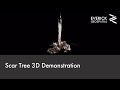Scar tree 3d demonstration