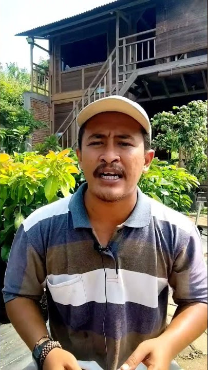Pupuk Kandang Kambing Sapi Ayam Apa Bedanya? #shorts